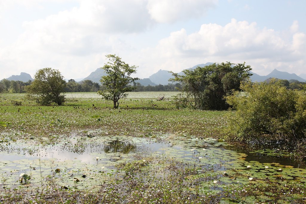 Sri Lanka (2013)