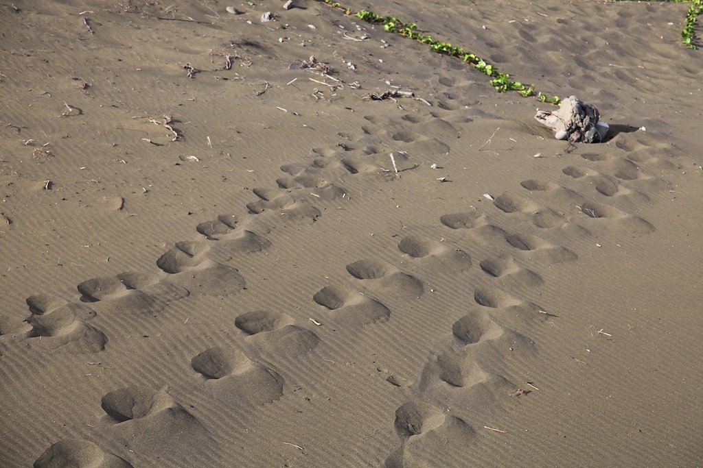 Ile de la Réunion (2010)