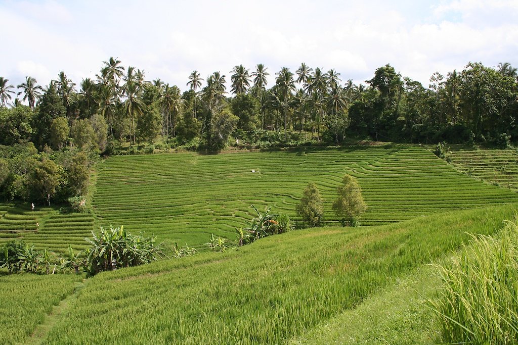 Bali (2009)