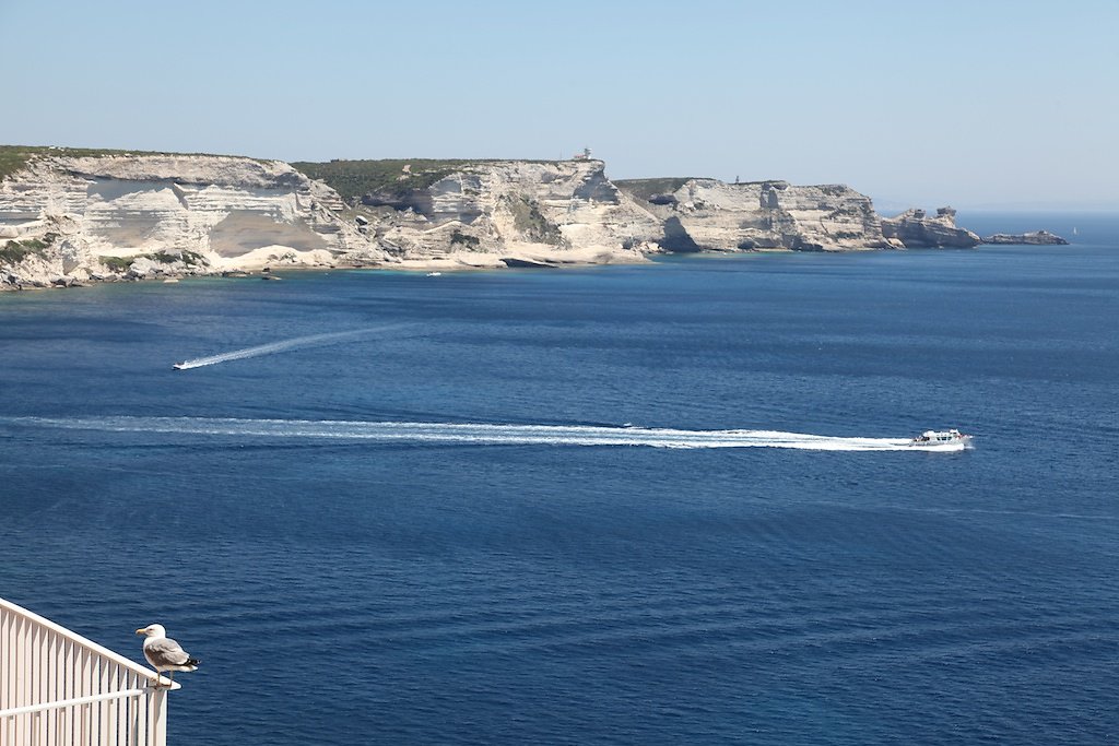 Corse (2014)