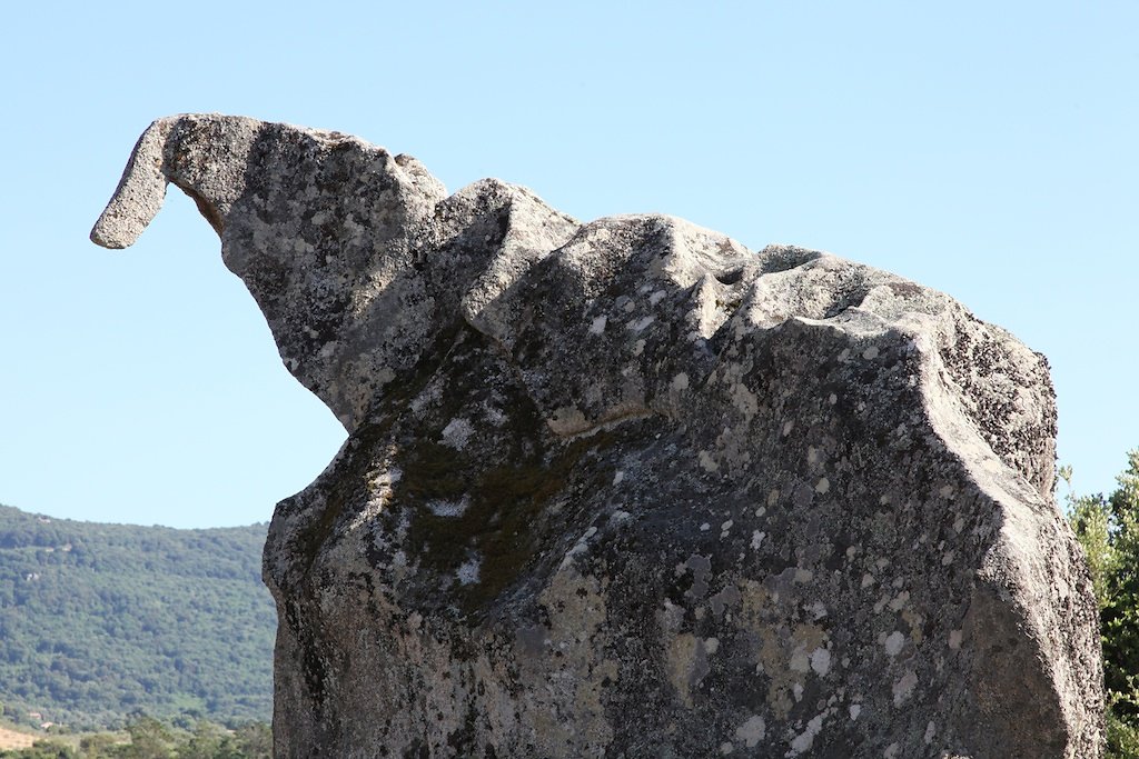 Corse (2014)