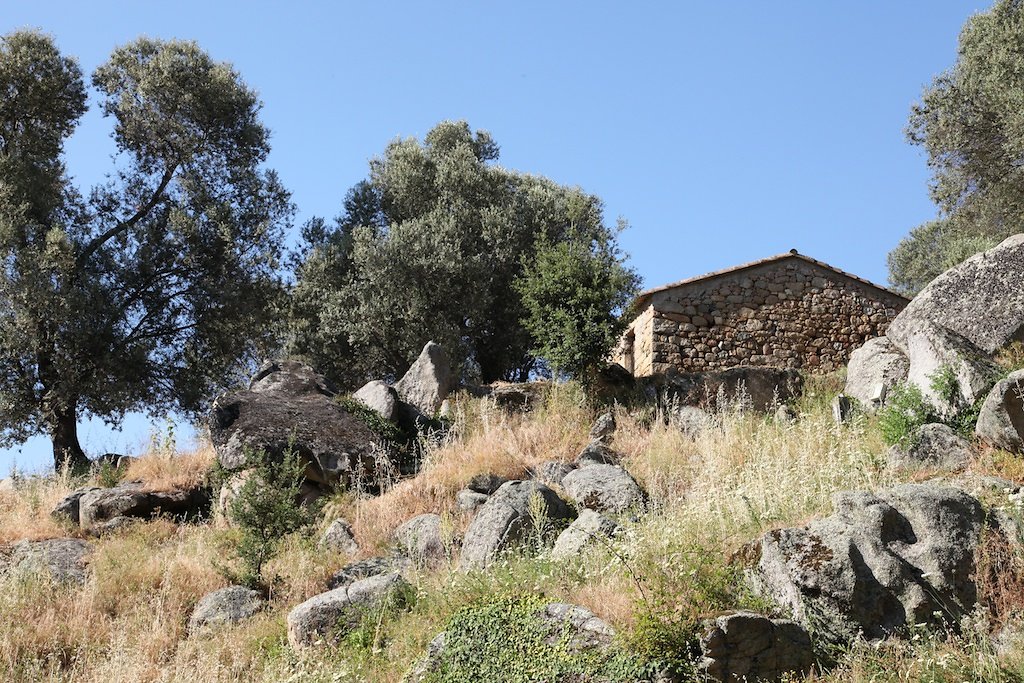 Corse (2014)