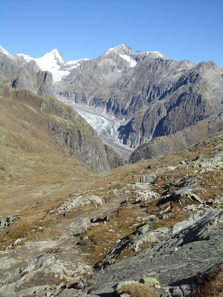 Aletsch, Eggishorn