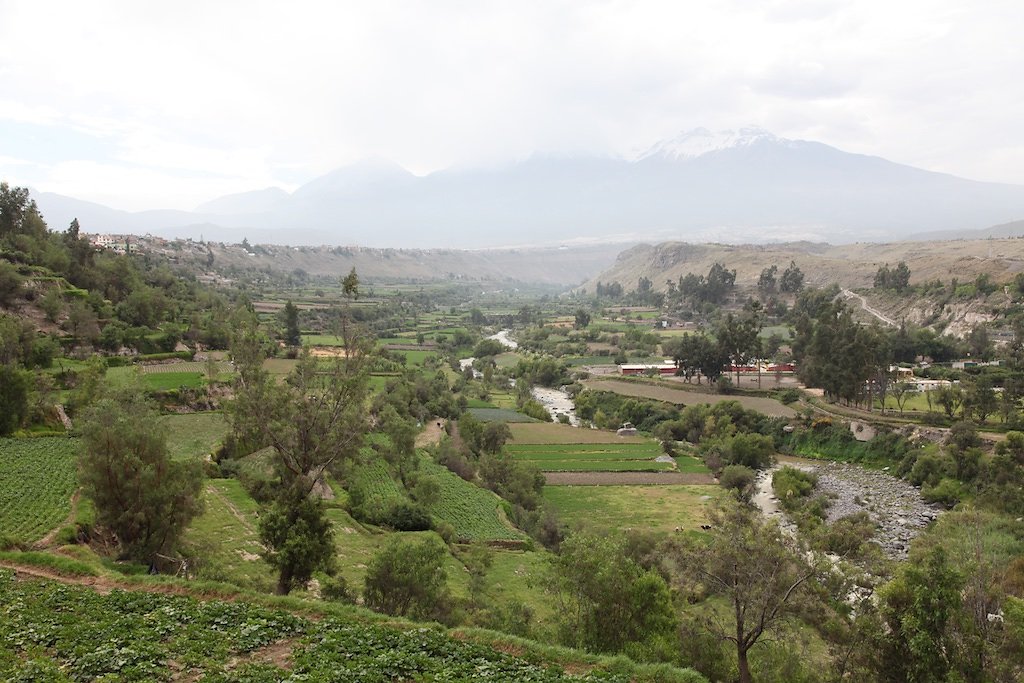 Arequipa