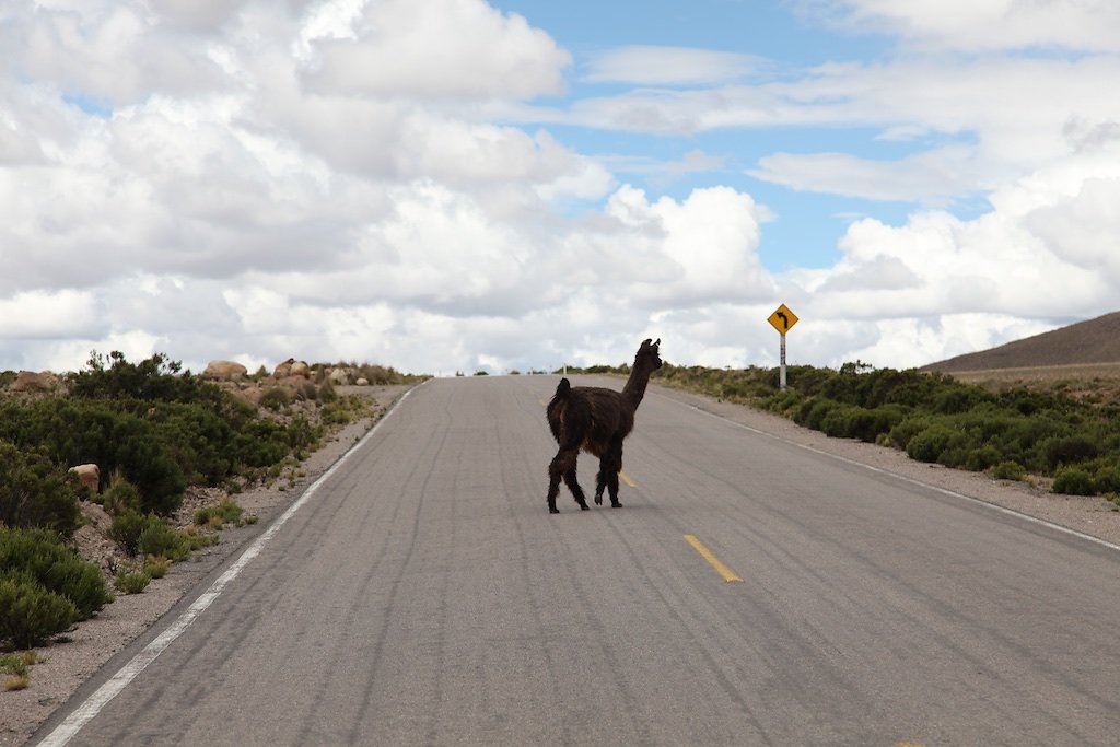 Arequipa - Chivay