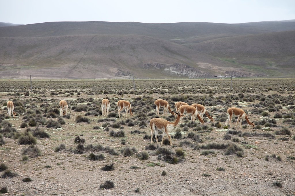 Arequipa - Chivay