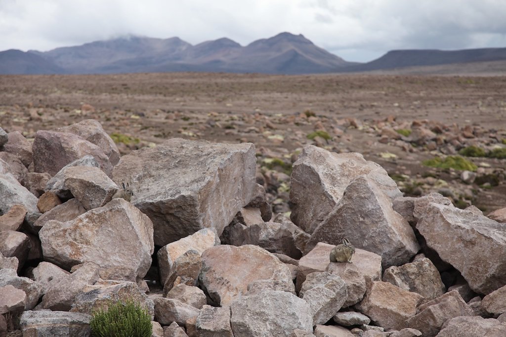 Arequipa - Chivay