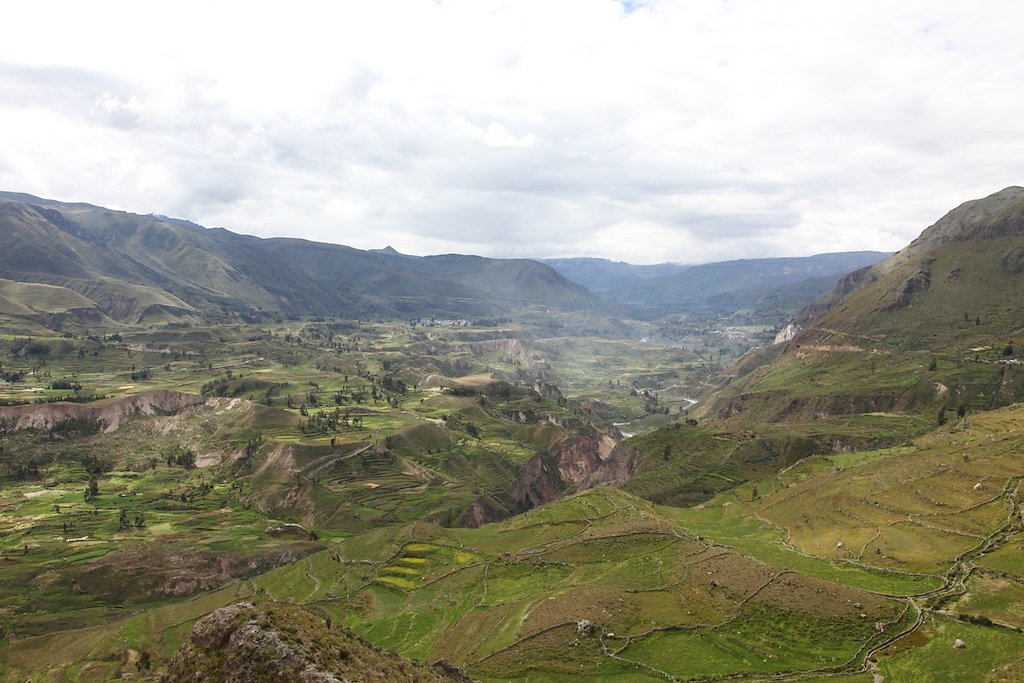 Vallée de Colca, Croix des Condors