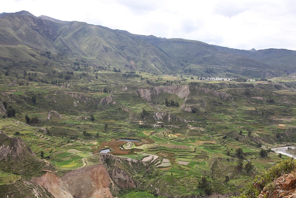 Vallée de Colca, Croix des Condors