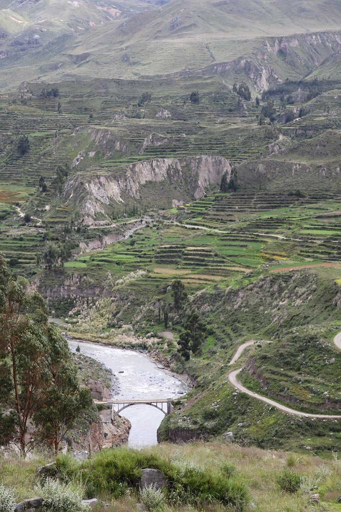 Vallée de Colca, Croix des Condors