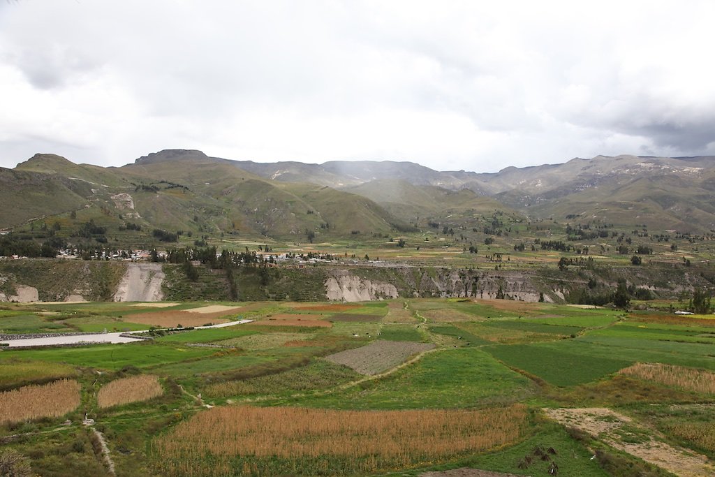 Vallée de Colca, Croix des Condors