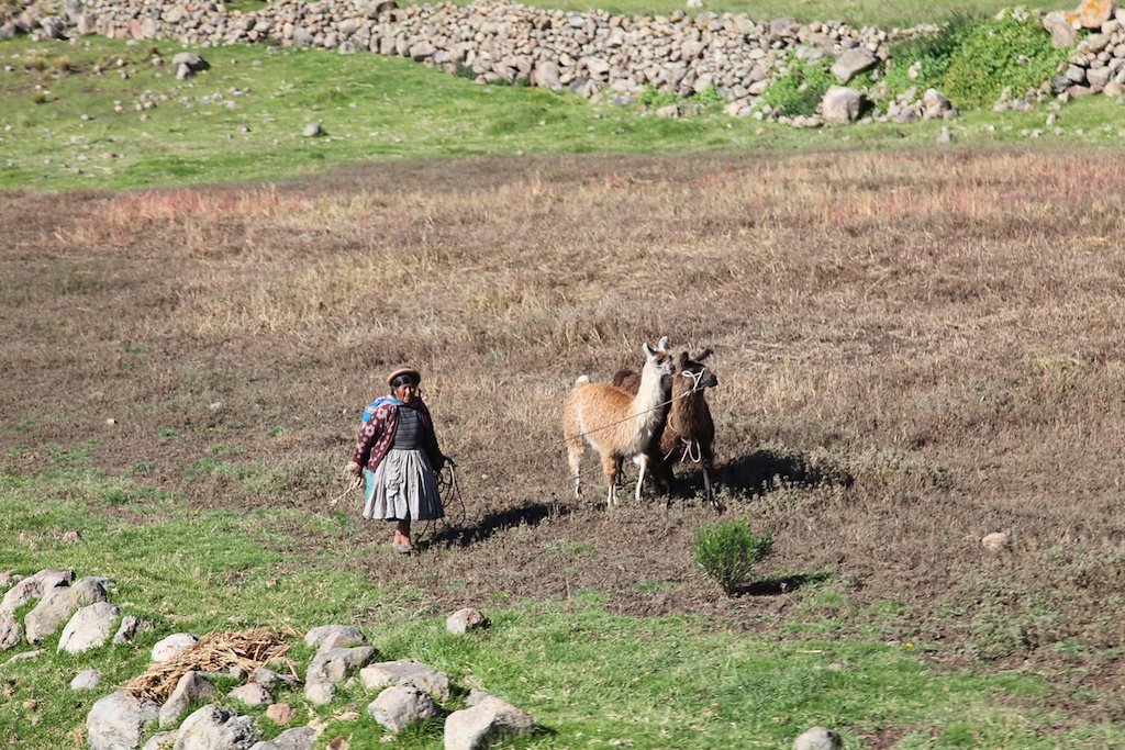 Train des Andes de Puno à Cusco