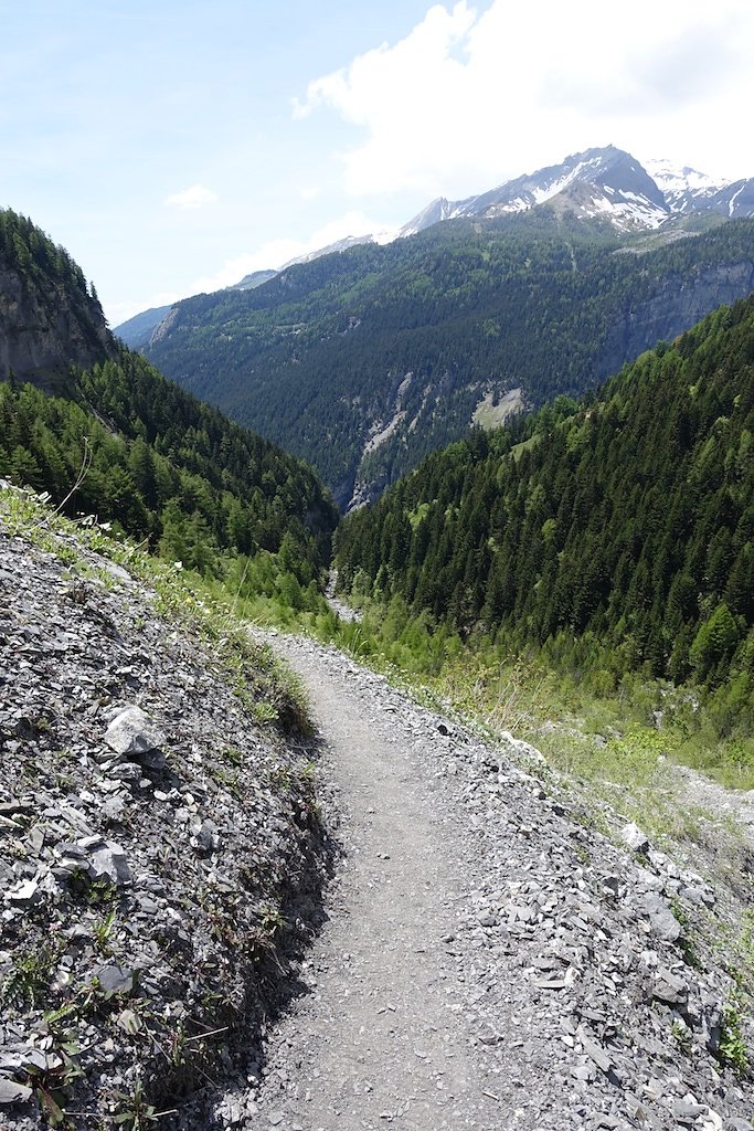 Bisse du Ro (31.05.2015)