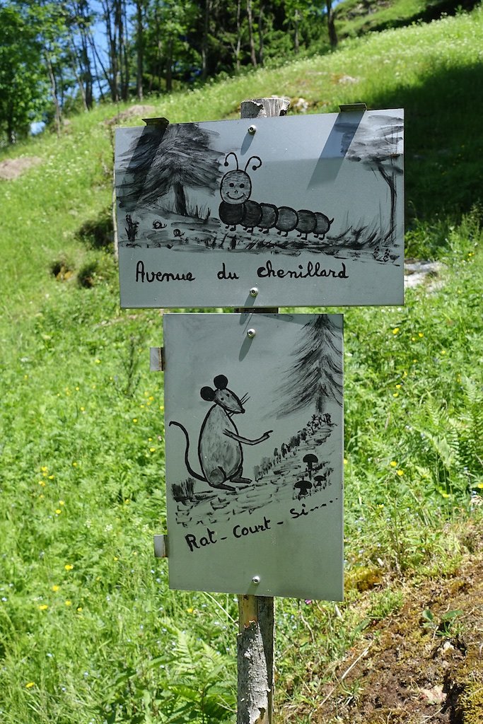 Gueuroz, Charavex, Le Revix, La Crettaz (13.06.2015)