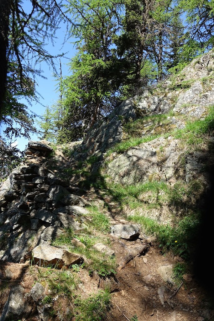 Col de la Forclaz, Mont de l'Arpille (04.06.2015)