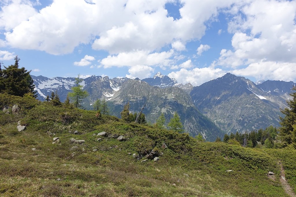 Col de la Forclaz, Mont de l'Arpille (04.06.2015)