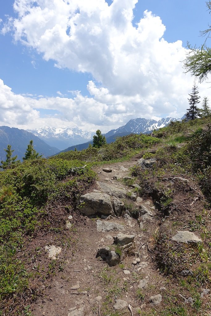 Col de la Forclaz, Mont de l'Arpille (04.06.2015)