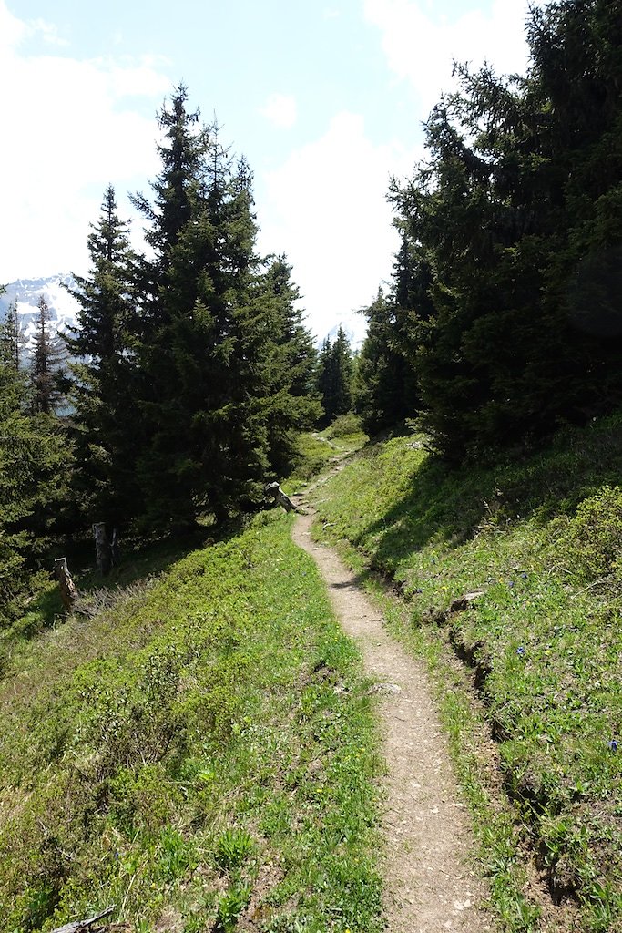 Col de la Forclaz, Mont de l'Arpille (04.06.2015)