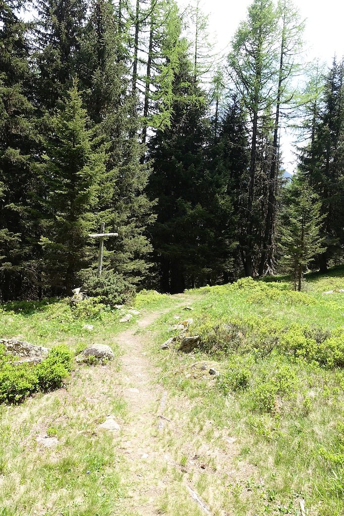 Col de la Forclaz, Mont de l'Arpille (04.06.2015)