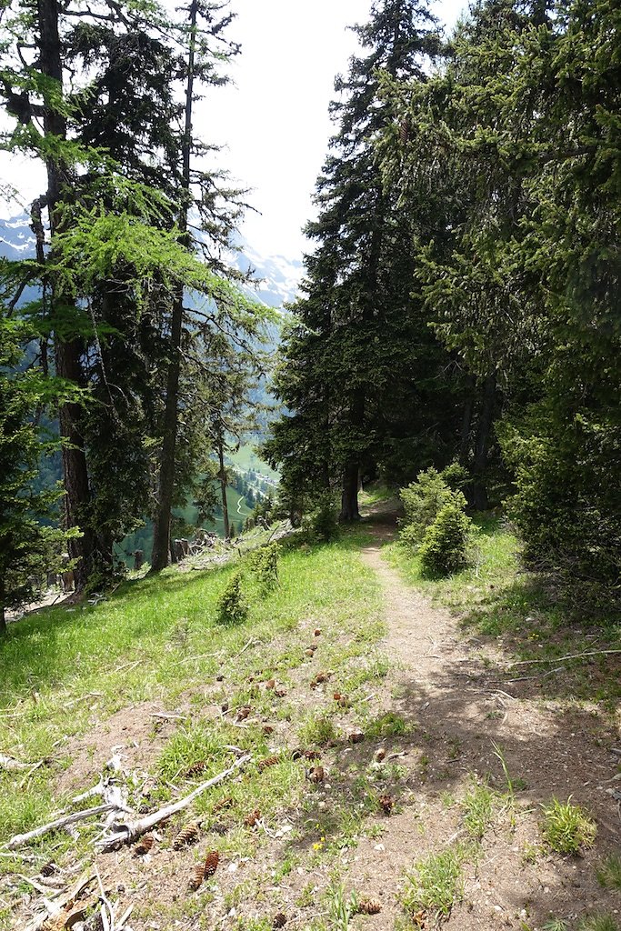 Col de la Forclaz, Mont de l'Arpille (04.06.2015)