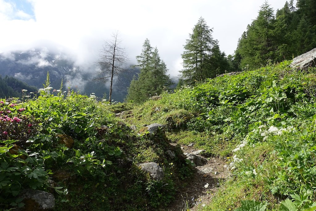 Cabane du Petit-Mountet (04.07.2016)