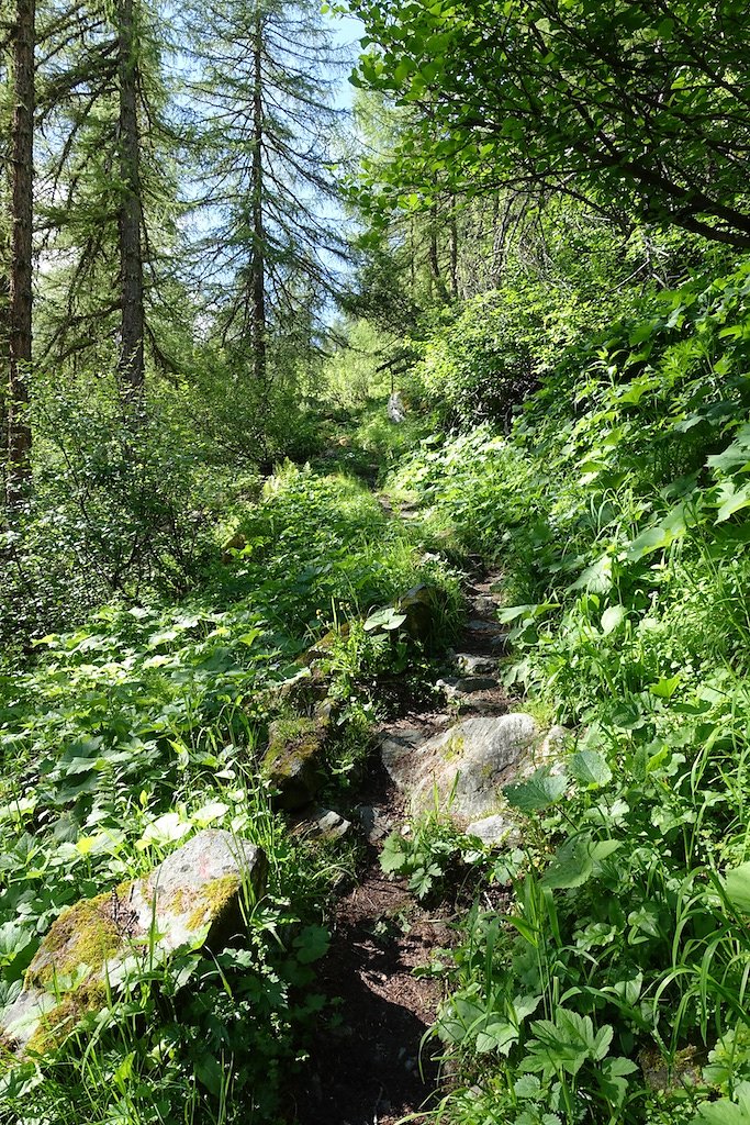 Cabane du Petit-Mountet (04.07.2016)