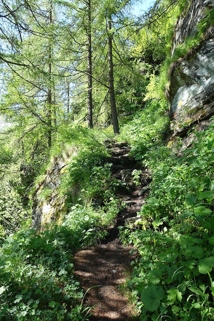 Cabane du Petit-Mountet (04.07.2016)