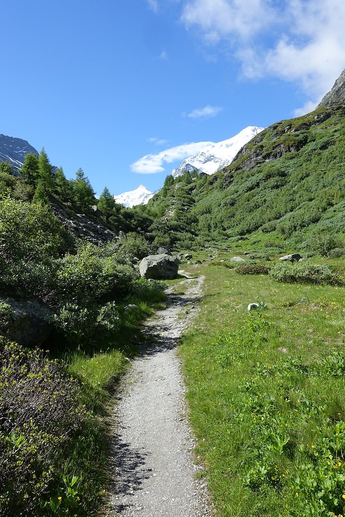 Cabane du Petit-Mountet (04.07.2016)