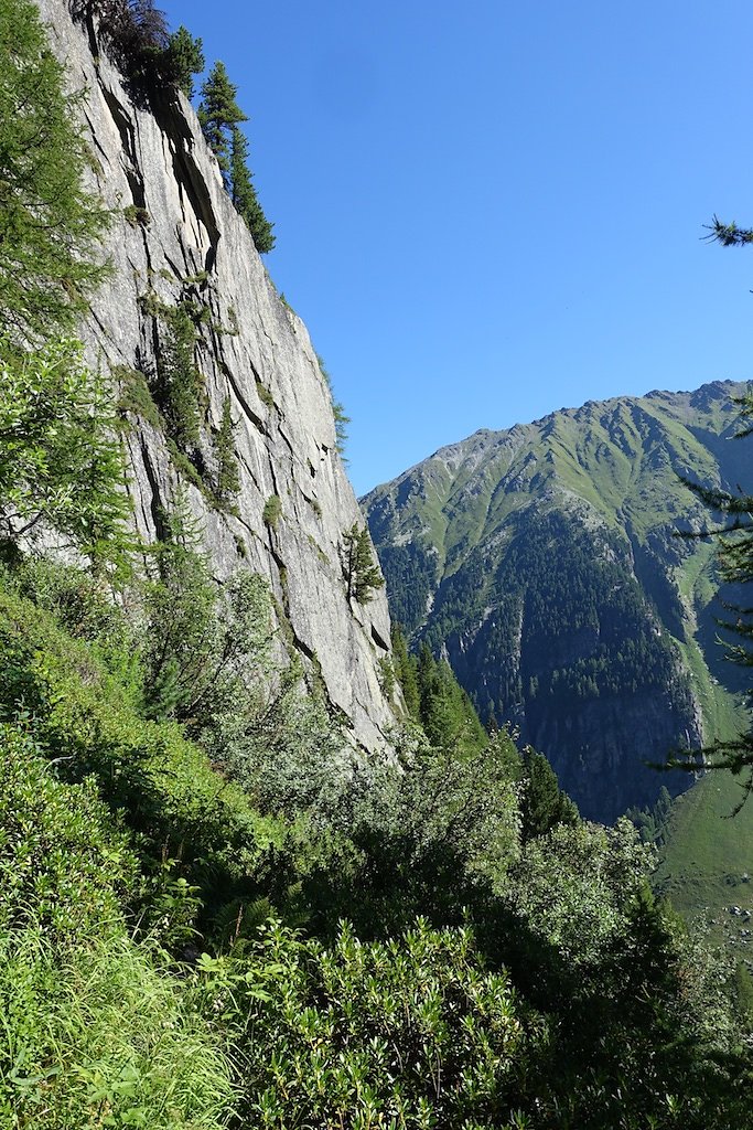Col de la Forclaz, Chalet Les Grands, Col de Balme, Trient, Col de la Forclaz (07.08.2016)