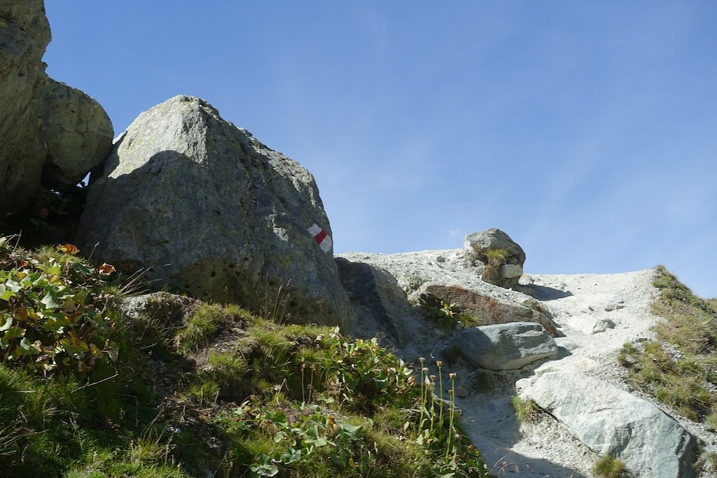 Cabane de Moiry, Col du Pigne (03.09.2016)