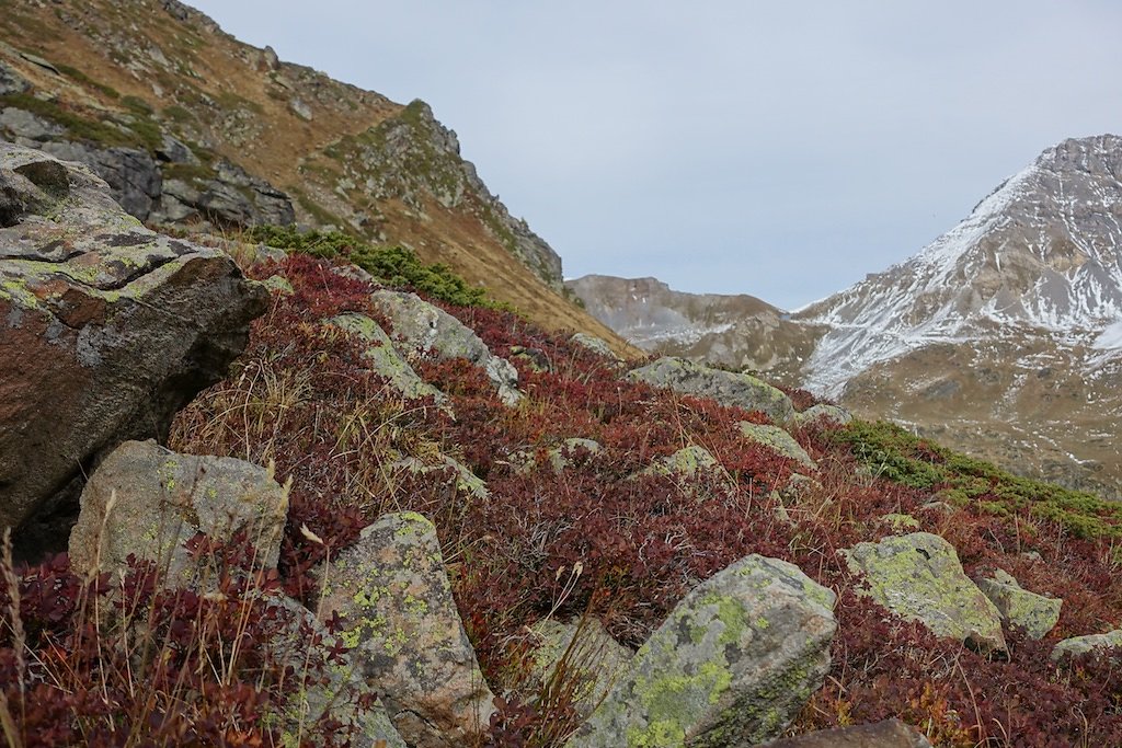 L'Erié, Sorniot, Demècre (16.10.2016)