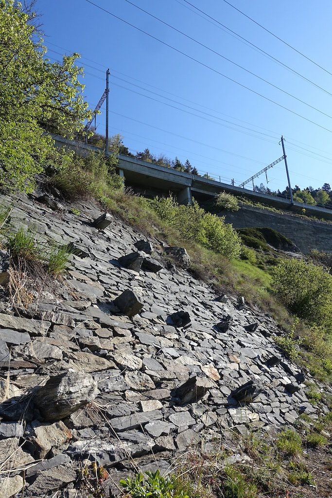 Rampe sud du Lötschberg (30.04.2017)