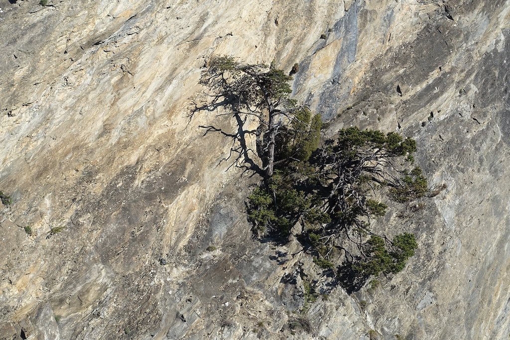 Rampe sud du Lötschberg (30.04.2017)