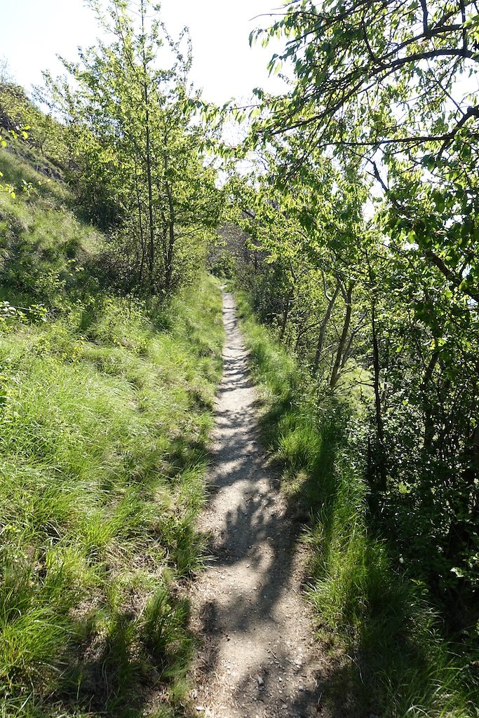 Rampe sud du Lötschberg (30.04.2017)