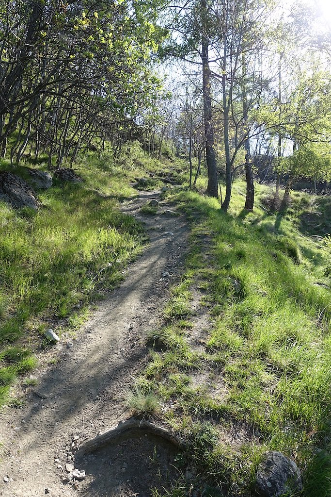 Rampe sud du Lötschberg (30.04.2017)