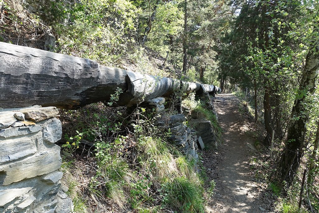 Rampe sud du Lötschberg (30.04.2017)