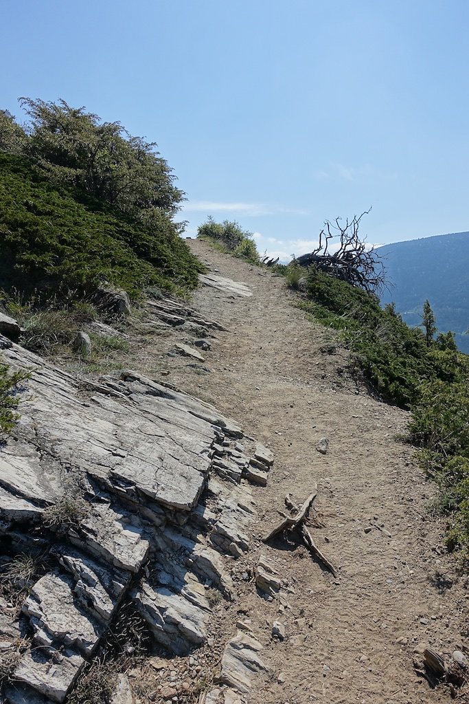 Rampe sud du Lötschberg (30.04.2017)