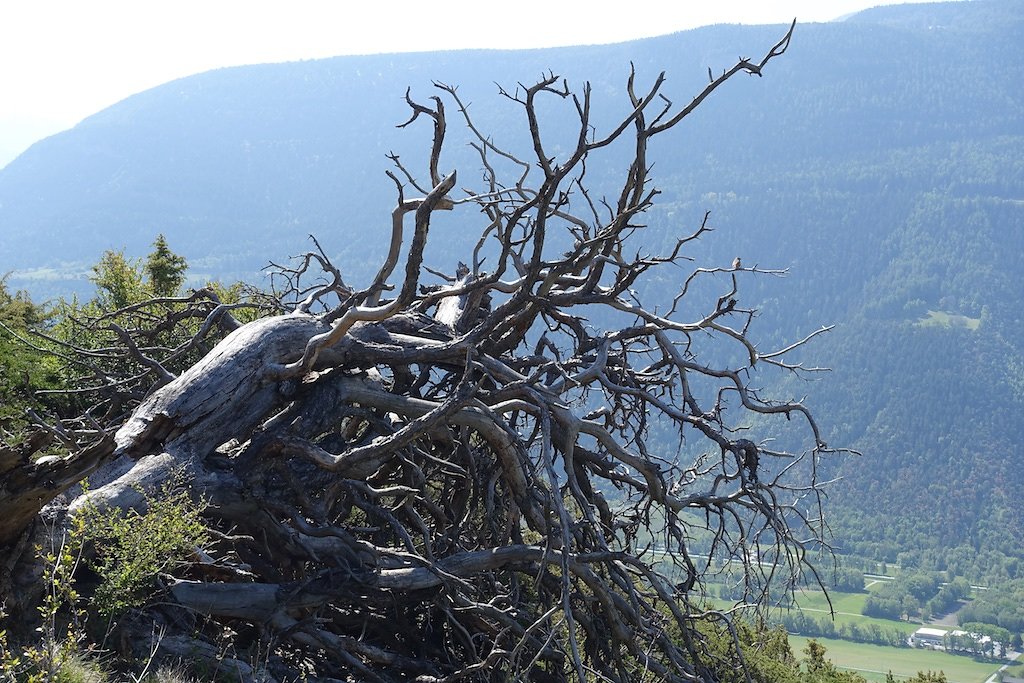 Rampe sud du Lötschberg (30.04.2017)