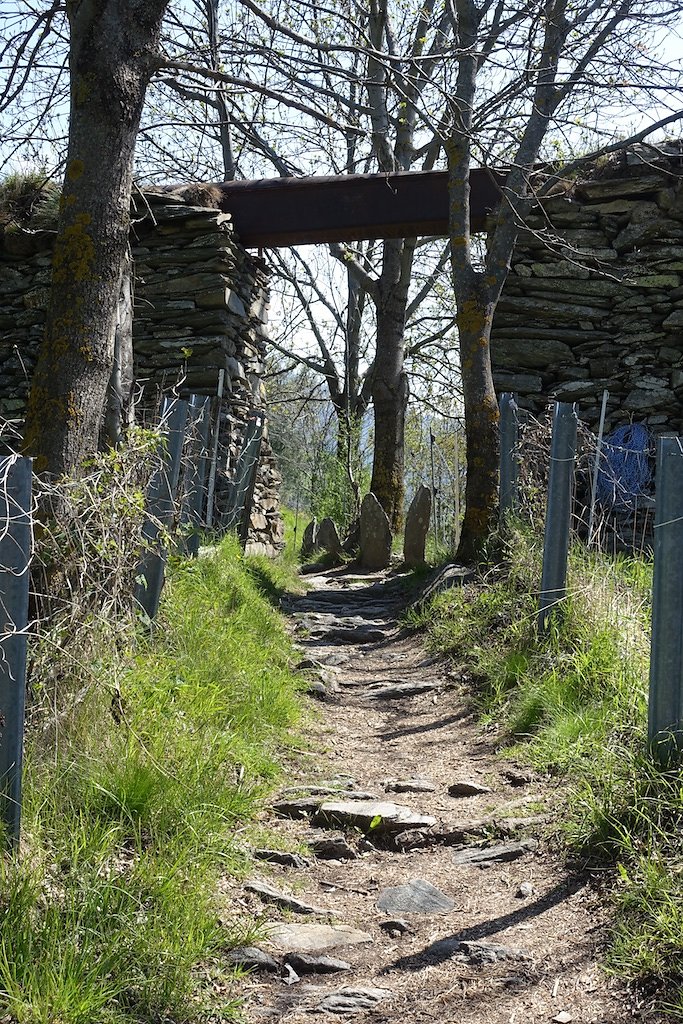 Rampe sud du Lötschberg (30.04.2017)