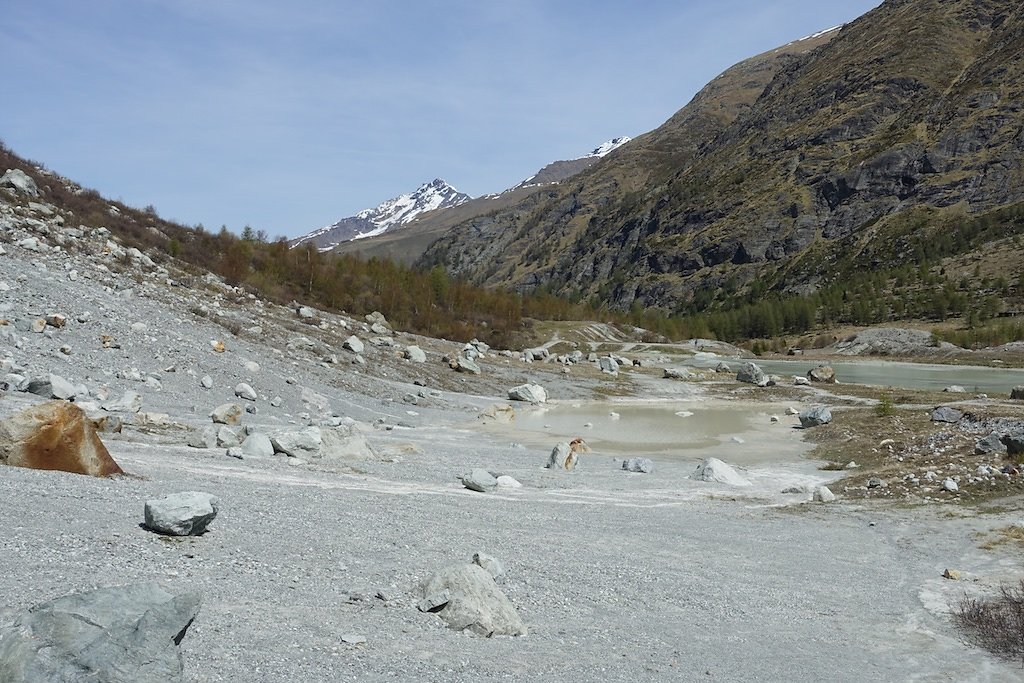 Glacier du Mont Miné, Ferpècle (25.05.2017)