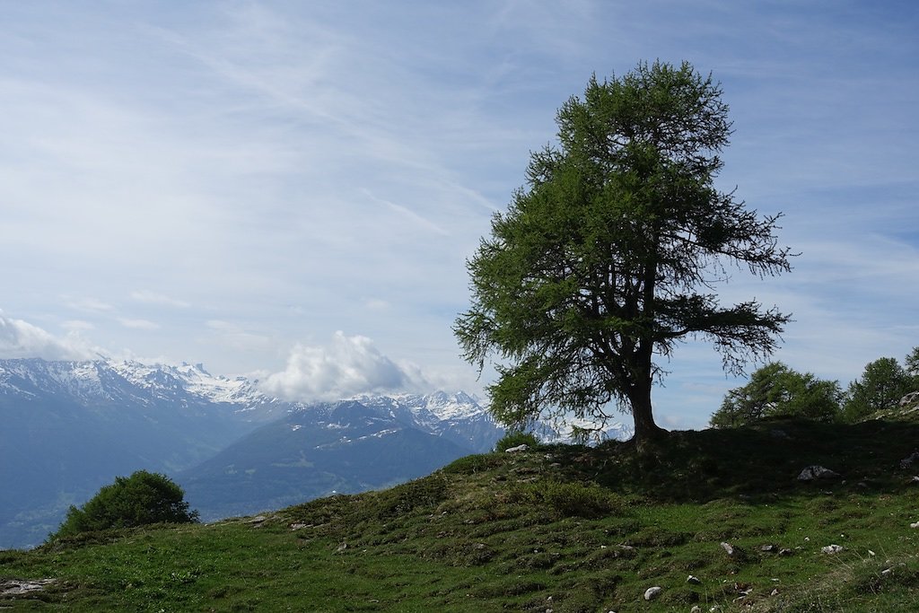 Refuge d'Ayroz - Gîte de Lodze (03.06.2017)