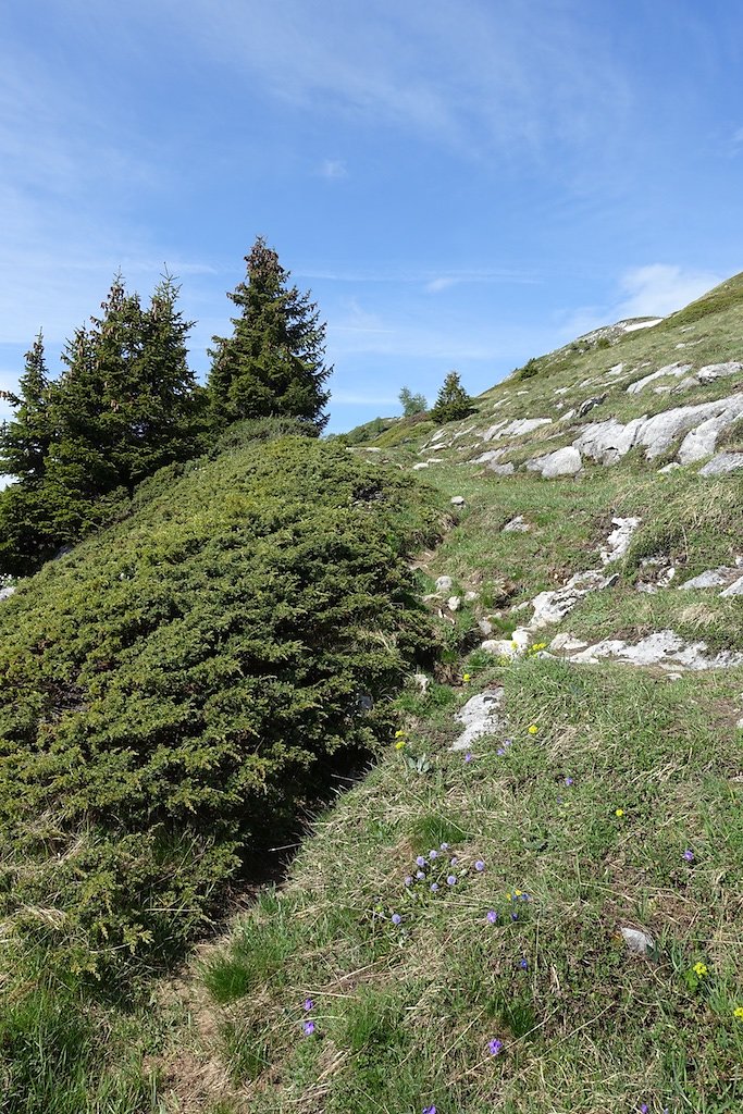 Refuge d'Ayroz - Gîte de Lodze (03.06.2017)