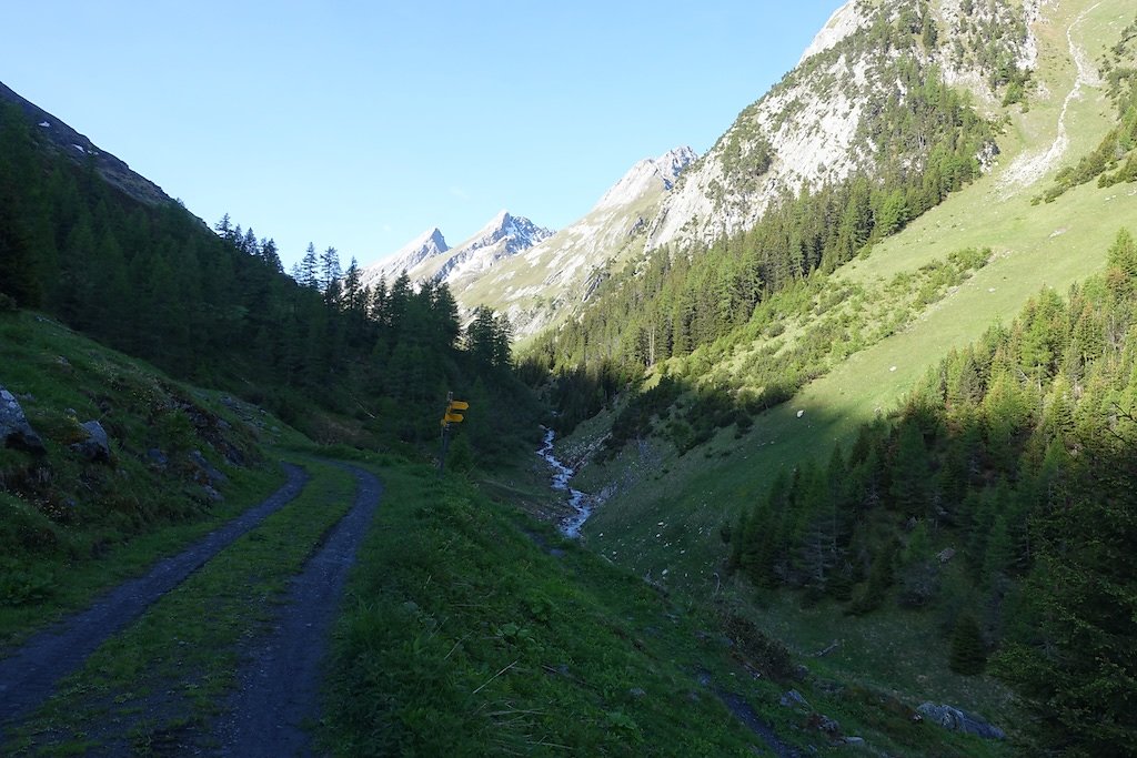 Combe de l'A, Le Basset (10.06.2017)