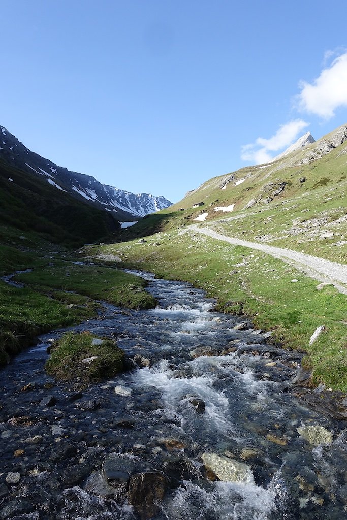 Combe de l'A, Le Basset (10.06.2017)