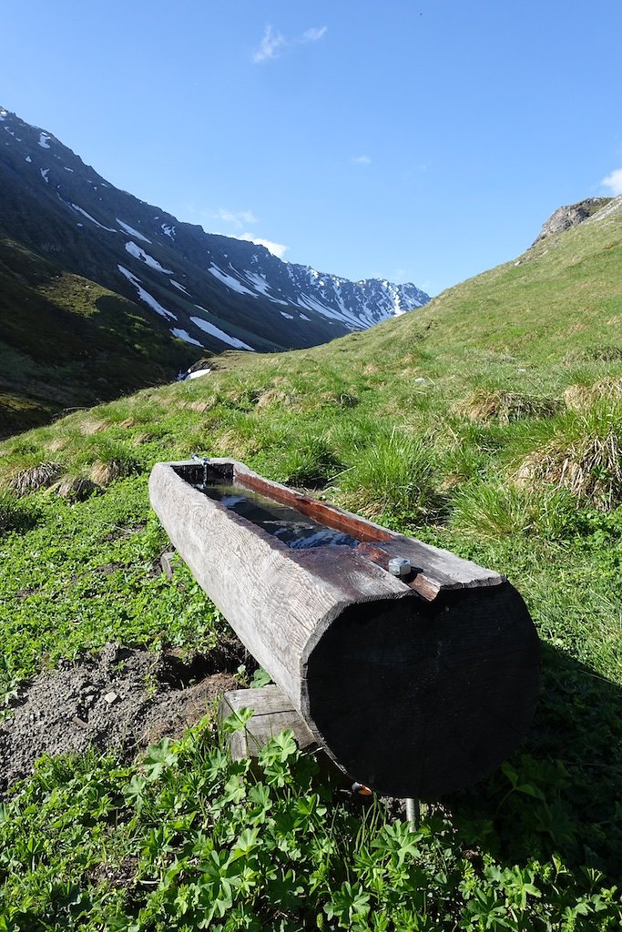 Combe de l'A, Le Basset (10.06.2017)