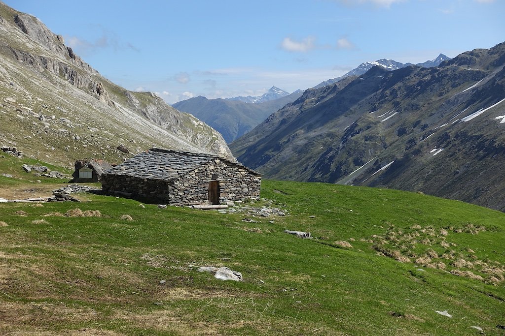 Combe de l'A, Le Basset (10.06.2017)