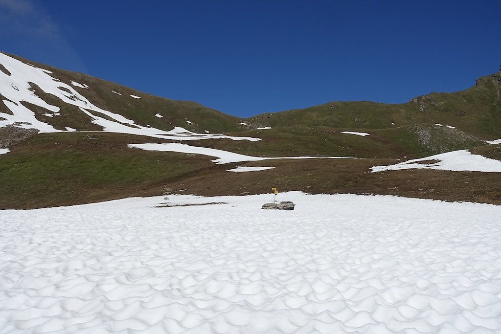 Combe de l'A, Le Basset (10.06.2017)