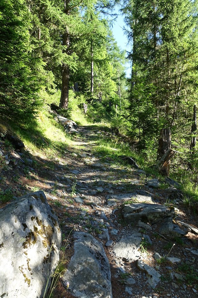 Trient, Tseppes, Col de Balme (18.06.2017)