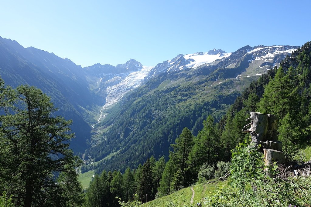 Trient, Tseppes, Col de Balme (18.06.2017)