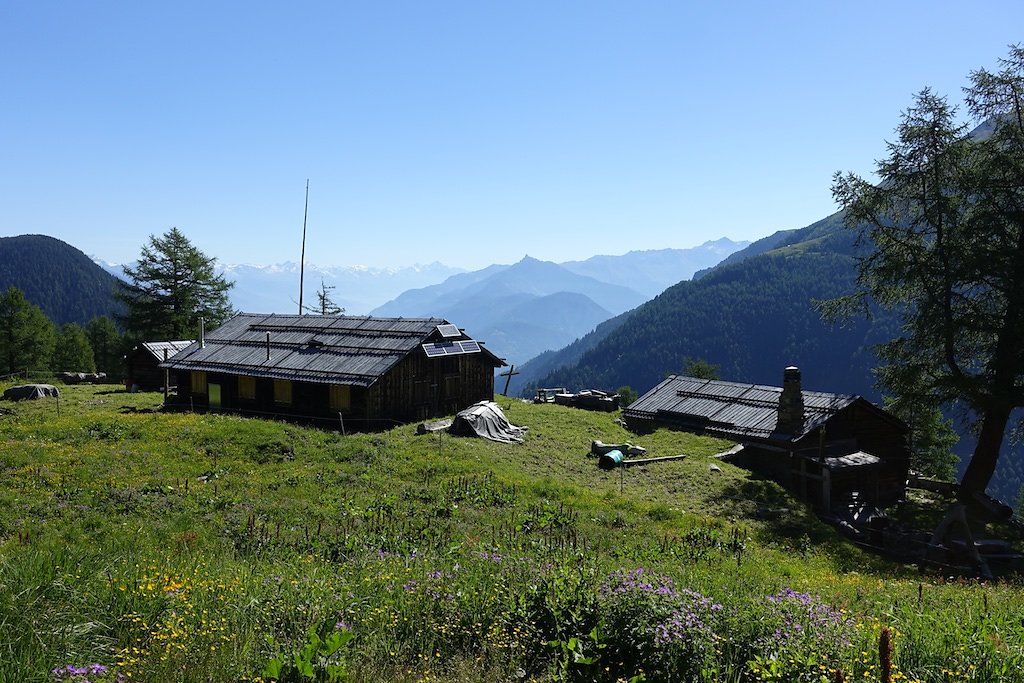 Trient, Tseppes, Col de Balme (18.06.2017)